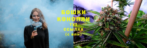 мет Аркадак